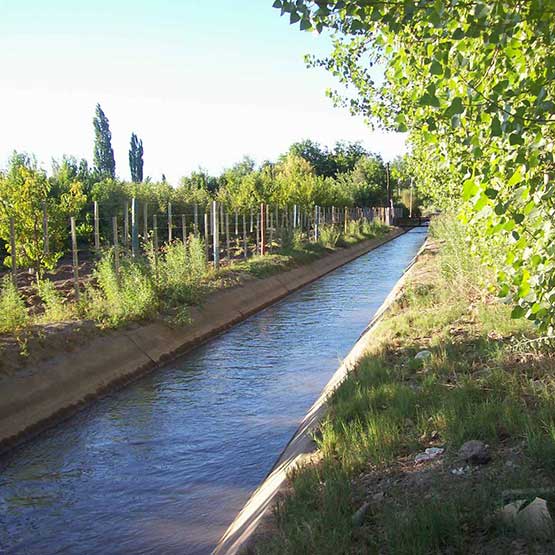 Agrario